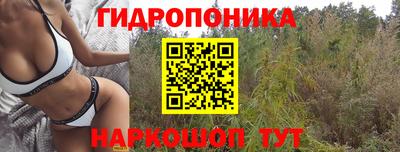 тгк Гусев