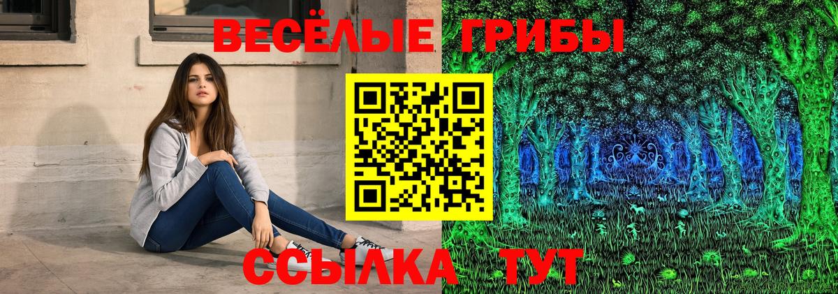 сколько стоит  Галлюциногенные грибы MAGIC MUSHROOMS  Вход с VPN  Мариинск 